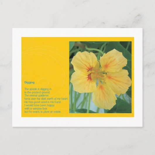 Digging Briefkaart (Voorkant)