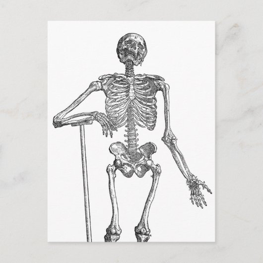 Digging Skeleton Illustratie Briefkaart (Voorkant)
