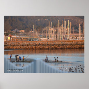 Digging voor Clams Poster