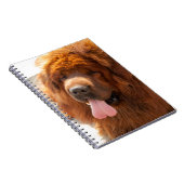 Diggy a Beauful Red Tibetan Mastiff NoteBook Notitieboek (Rechterzijde)
