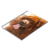 Diggy a Beauful Red Tibetan Mastiff NoteBook Notitieboek (Linkerzijde)