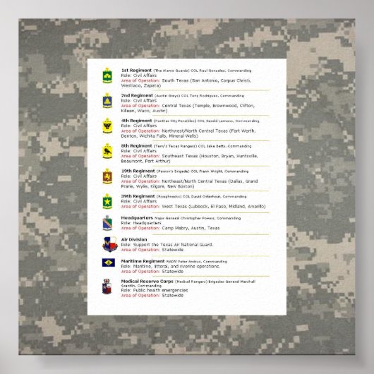 digitaal, 10 manieren aan TXSG, EENHEDEN TXSG Poster (Voorkant)