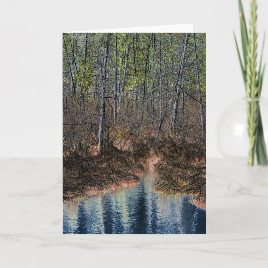 Digitaal bewerkt bos en papier kaart (Voorkant)