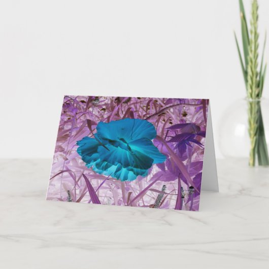 Digitaal bewerkte foto: Bloem, gras Kaart (Voorkant)