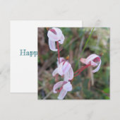 Digitaal Briefkaart (Voorkant / Achterkant)