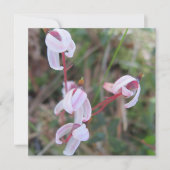 Digitaal Briefkaart (Voorkant)