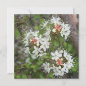 Digitaal Briefkaart (Voorkant)