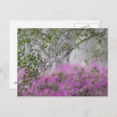 Digitaal composiet van Azaleas en magnolia-boom Briefkaart (Voorkant / Achterkant)