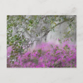 Digitaal composiet van Azaleas en magnolia-boom Briefkaart (Voorkant)