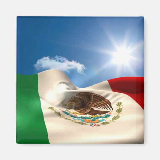 Digitaal gegenereerde rimpeling van de Mexicaanse Magneet (Voorkant)