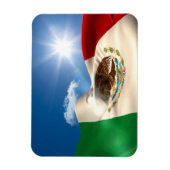 Digitaal gegenereerde rimpeling van de Mexicaanse Magneet (Verticaal)