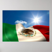 Digitaal gegenereerde rimpeling van de Mexicaanse  Poster (Voorkant)