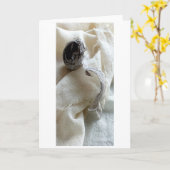 Digitaal gewijzigde 'Hive' Wasp nesten op verbindi Kaart (Gele Bloem)