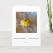 Digitaal gewijzigde "pomkin"-levensduur op verbind kaart (Achterkant)