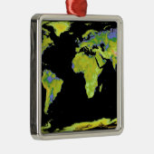 Digitaal hoogtemodel van de continenten op Ea Metalen Ornament (Rechts)
