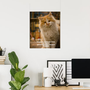 Digitaal huisdier portret aangepaste kat portret d poster