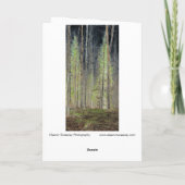 Digitaal in het Bos getransformeerd bos Kaart (Achterkant)