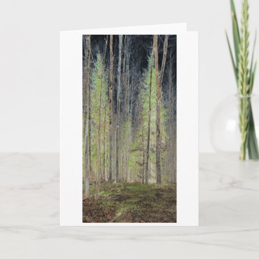 Digitaal in het Bos getransformeerd bos Kaart (Voorkant)