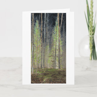 Digitaal in het Bos getransformeerd bos Kaart