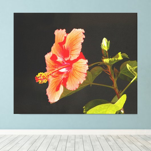 Digitaal ingegraven Hibiscus, Brenda's Bloem Canvas Afdruk (Insitu (Houten vloer))
