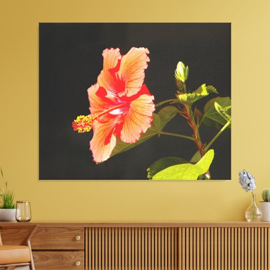 Digitaal ingegraven Hibiscus, Brenda's Bloem Canvas Afdruk (Insitu (Woonkamer))
