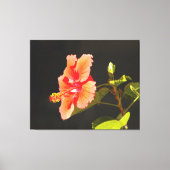 Digitaal ingegraven Hibiscus, Brenda's Bloem Canvas Afdruk (Voorkant)