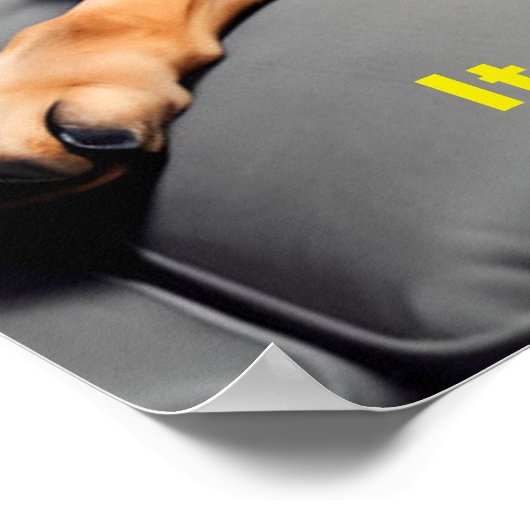 Digitaal Kunstportret, Duitse Shepard Meme Grappig Poster (Hoek)