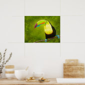 Digitaal schilderen Tropisch Oerwoud Toucan Bird Poster (Keuken)