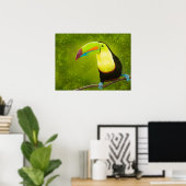 Digitaal schilderen Tropisch Oerwoud Toucan Bird Poster (Thuiskantoor)