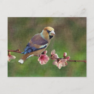 Digitaal schilderij van de Europese hawvinder Briefkaart