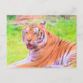 Digitaal Siberische tijgerBriefkaart, geverfd Briefkaart (Voorkant)