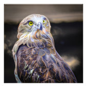 Digitaal verbeterd olieverf afbeelding van een kor foto afdruk (Voorkant)