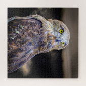 Digitaal verbeterd olieverf afbeelding van een kor legpuzzel (Horizontaal)