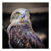 Digitaal verbeterd olieverf afbeelding van een kor perfect poster (Voorkant)