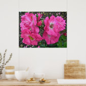Digitaal verbeterd roze Roos Poster (Keuken)