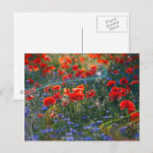 Digital artwork postcard briefkaart (Voorkant / Achterkant)