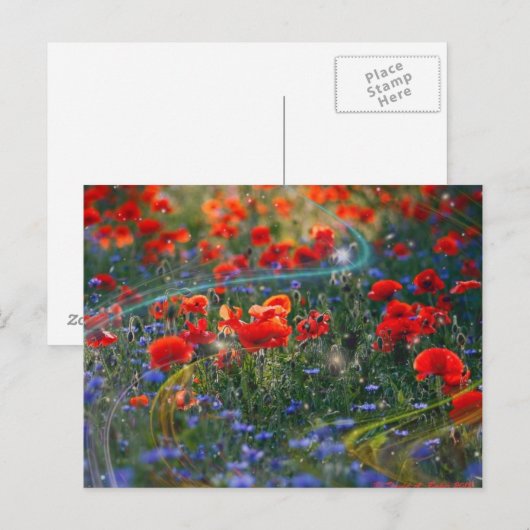 Digital artwork postcard briefkaart (Voorkant / Achterkant)