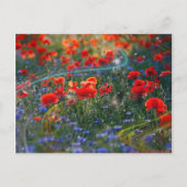 Digital artwork postcard briefkaart (Voorkant)