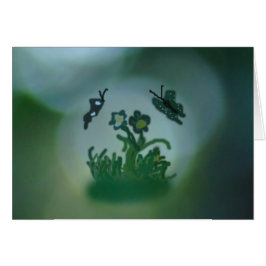 Digital Butterfly Dreamweaver'