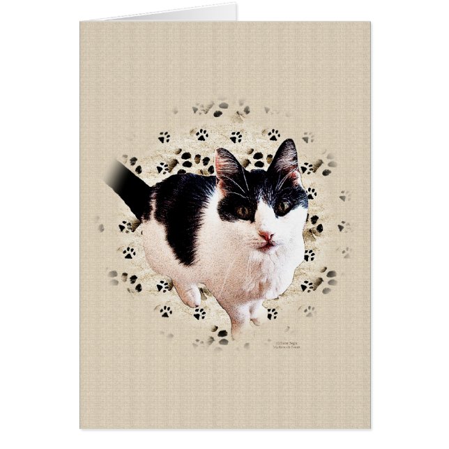 Digital Cat Sketch (Voorkant)