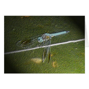 Digital Dragonfly-kaart