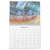 Digitale Barokke 2020 Fractal Calendar Kalender (Jan 2027)