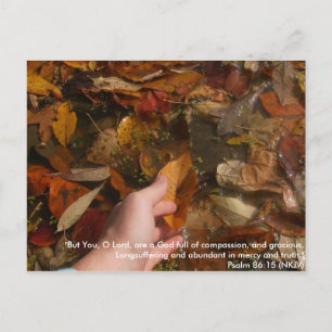 Digitale camera 491: "Maar U, o Heer, bent een God Briefkaart