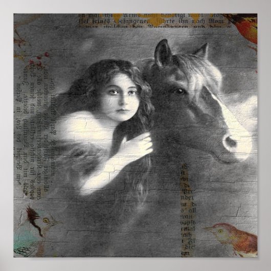 digitale collage voor dame en paarden poster (Voorkant)