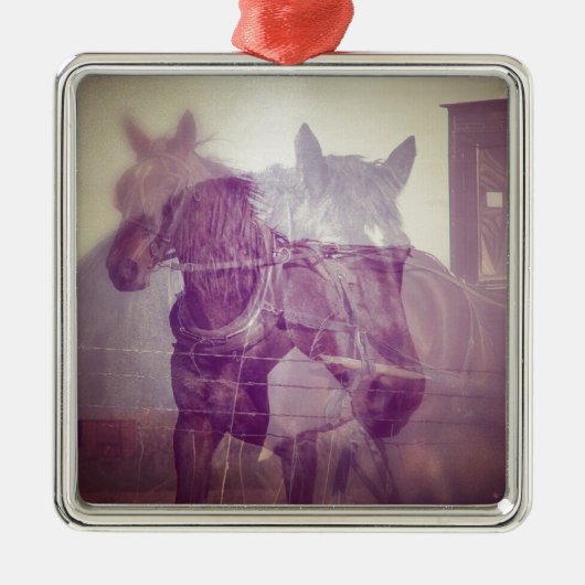Digitale collage voor paardenpaarden metalen ornament (Voorkant)