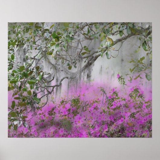 Digitale compositie van Azalea's en Magnolia boom Poster (Voorkant)