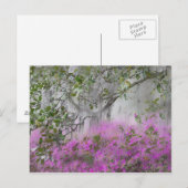 Digitale compositie van Azalea's en magnoliaboom Briefkaart (Voorkant / Achterkant)