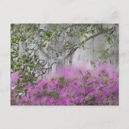 Digitale compositie van Azalea's en magnoliaboom Briefkaart (Voorkant)