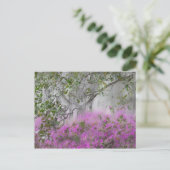 Digitale compositie van Azalea's en magnoliaboom Briefkaart (Staand voorkant)
