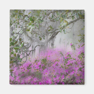 Digitale compositie van Azalea's en magnoliaboom Magneet